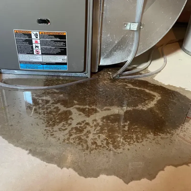 Appliance Leak Cleanup in Highland City, FL